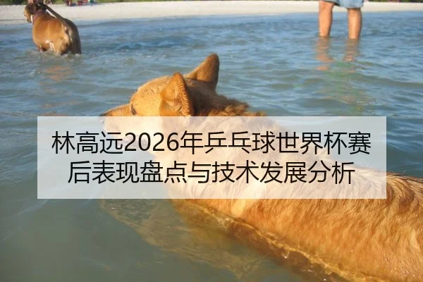 林高远2026年乒乓球世界杯赛后表现盘点与技术发展分析